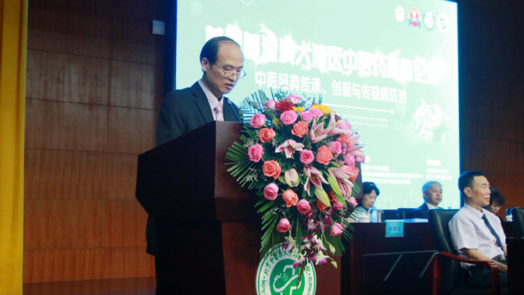 首届粤港澳大湾区中医药高峰论坛在龙岗举行