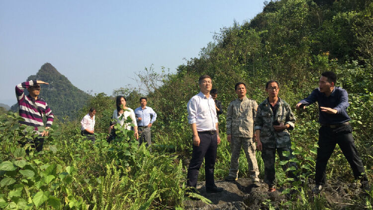 发展情况,精准扶贫,街道党工委委员,武装部部长庞西磊率街道经科办