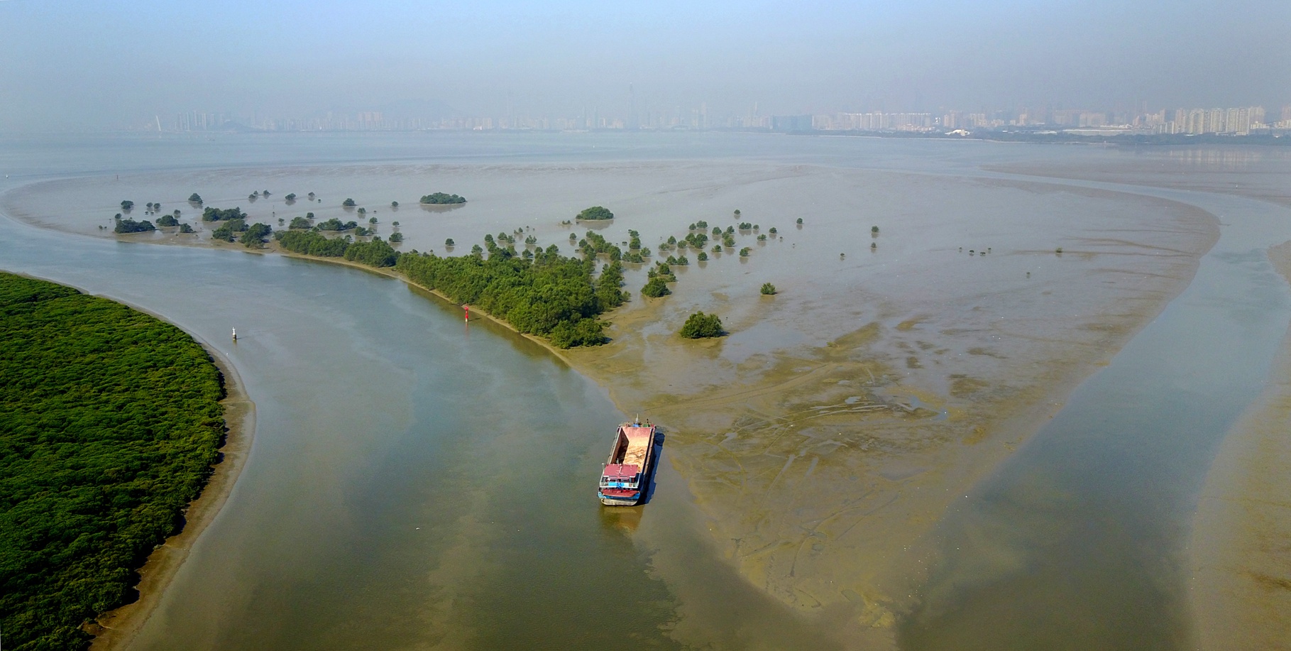 深圳河入海口图片