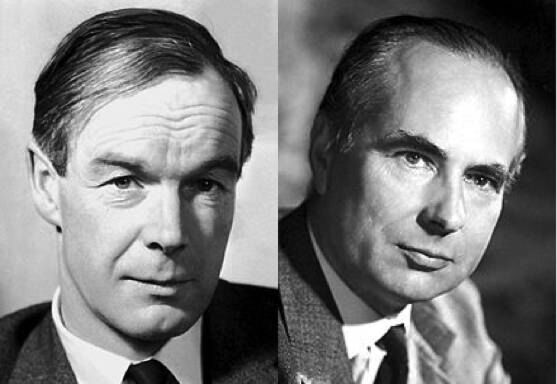 一条鱿鱼,是怎样解救博士生,获得诺贝尔的