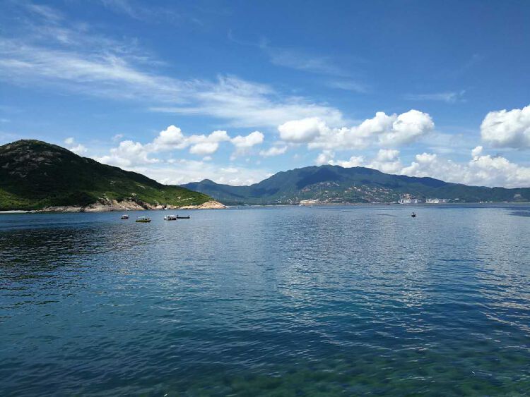 大亚湾海域现45平方公里无毒赤潮 数以万计鲻鱼死亡