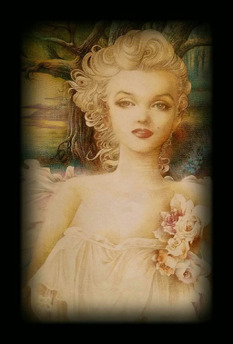 读创专访|插画家卢波: 画最有中国特色的插画