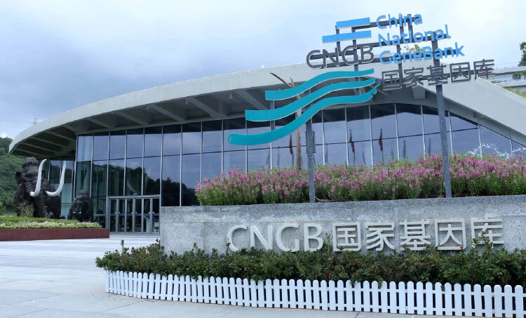 探访国家基因库基因测序核心技术取得突破性进展