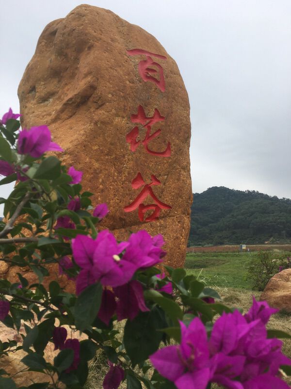 "百花谷"位于光明街道迳口社区南面,东临公明水库1号坝,南靠大顶岭