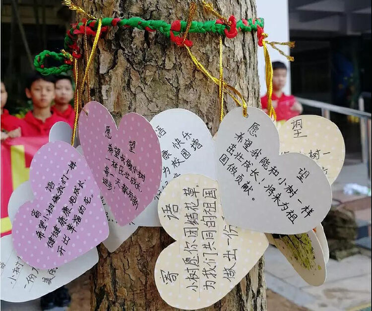 植树节深圳学子在校园种下一棵新长征树