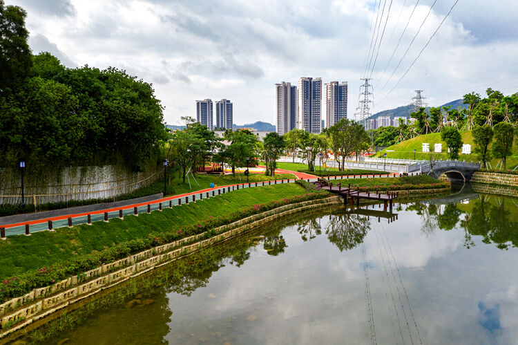 曲径通幽处,禾塘花木深,大鹏新区禾塘湿地公园正式对外开放