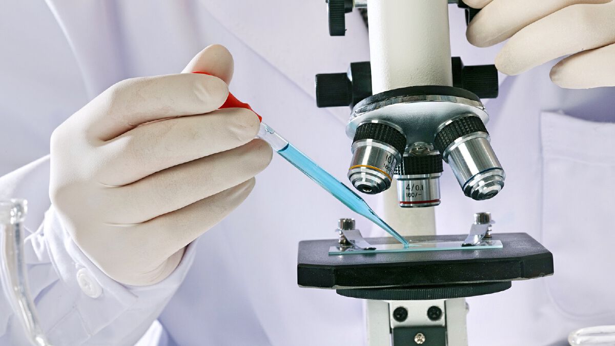 科技早班车| ①钟南山称新冠疫苗最早秋天或年底可用②黄茅海跨海通道