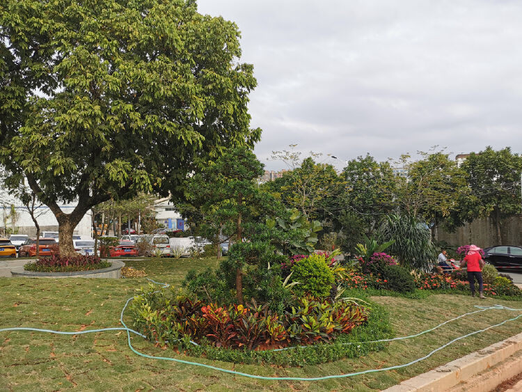 居民家门口尽享春光!马山头社区新增6处绿化景点