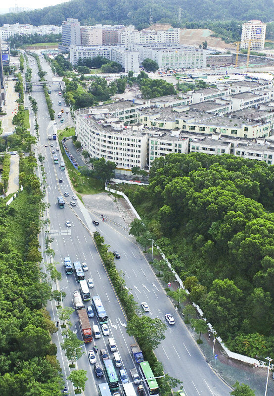 政企合力道路征拆,坂田街道"巧妇"能为无米之炊