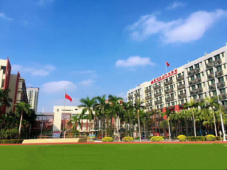 深圳学校(深圳学校排名小学)