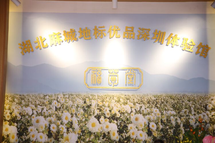 80余个地标优品汇集一堂,麻城首个异地"地标优品体验馆"落户深圳龙岗