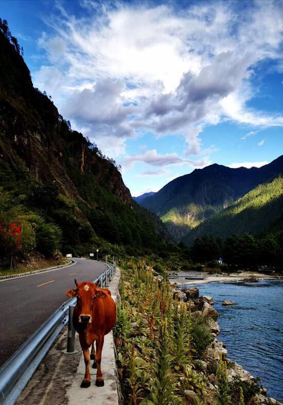 西藏察隅旅游资源探秘|第一站:清水河