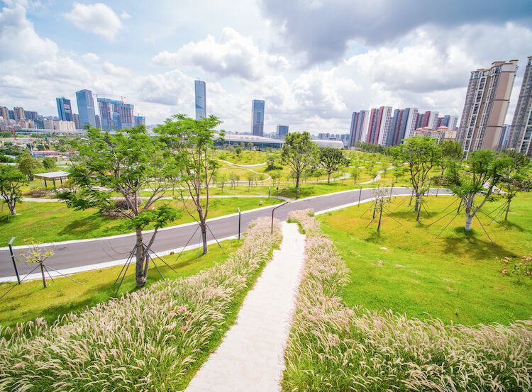 龙华环城绿道荣获2020ifla经济可持续发展类杰出大奖