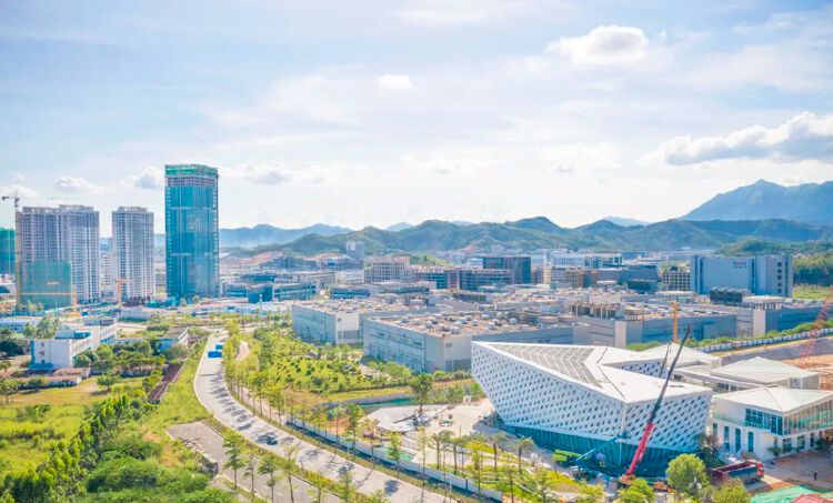 深汕合作区:全面履职夯基础 时刻望鹏促发展