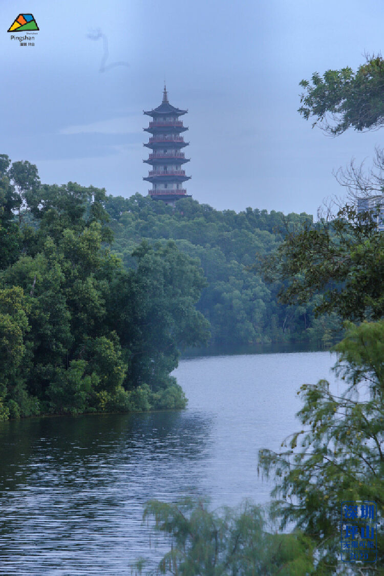 碧水绿道为全民健身赋能,2020坪山区"坪分秋色"马峦山健步走精彩落幕