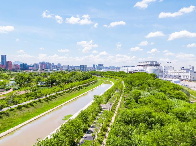 茅洲河蝶变深圳市光明区颜值提升