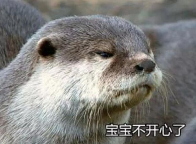 (跟我念,tǎ,不是懒,不是赖,更不是大老鼠!) 什么?不认识?再给你靡换