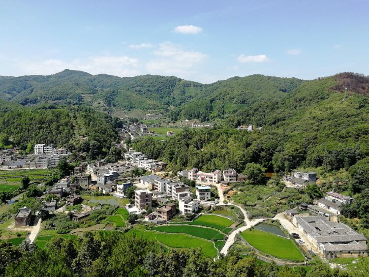 据了解,福永街道自2016年开始对口扶贫河源市龙川县上坪镇青云村,为了