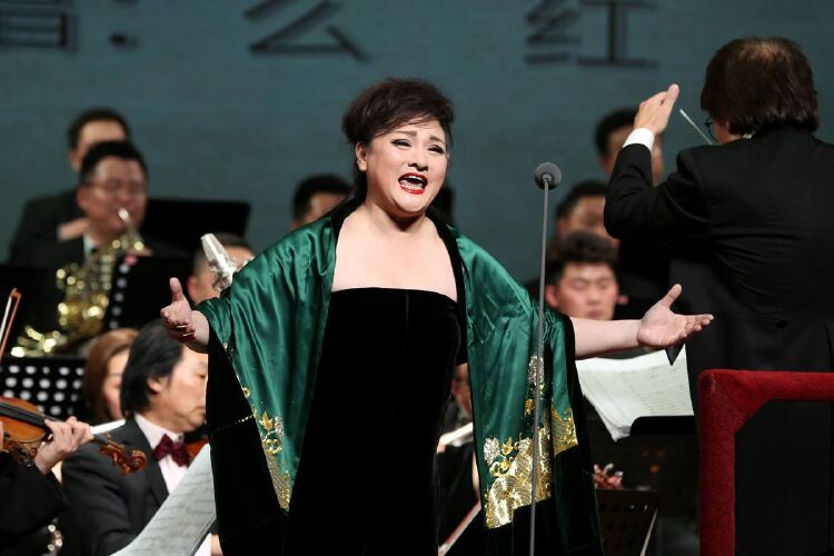 么红,王宏伟,石倚洁……众星云集为大剧院艺术节开幕