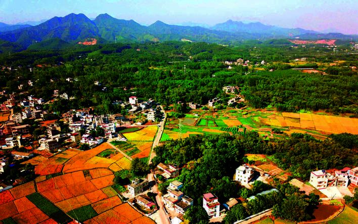 博罗县麻陂镇阿纪山: 一山碧绿入画来