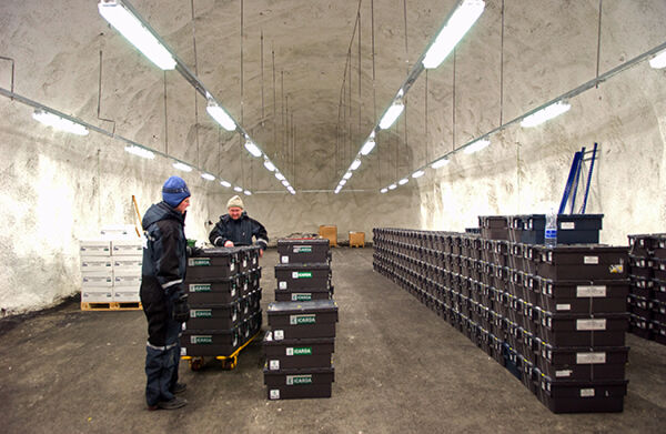 有视频有真相!看看挪威"末日种子库"长啥样