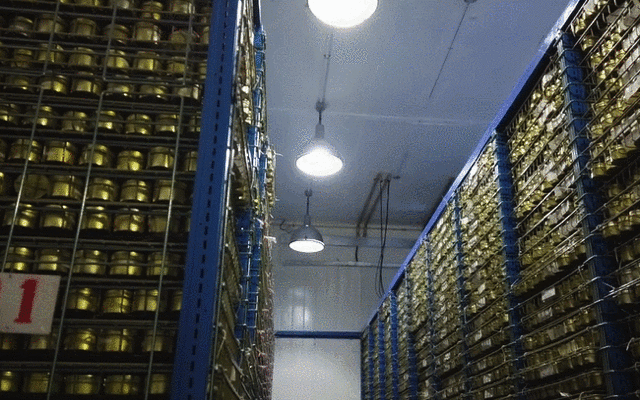 《流浪地球》里的种子库真实存在!探秘中国最大种子库