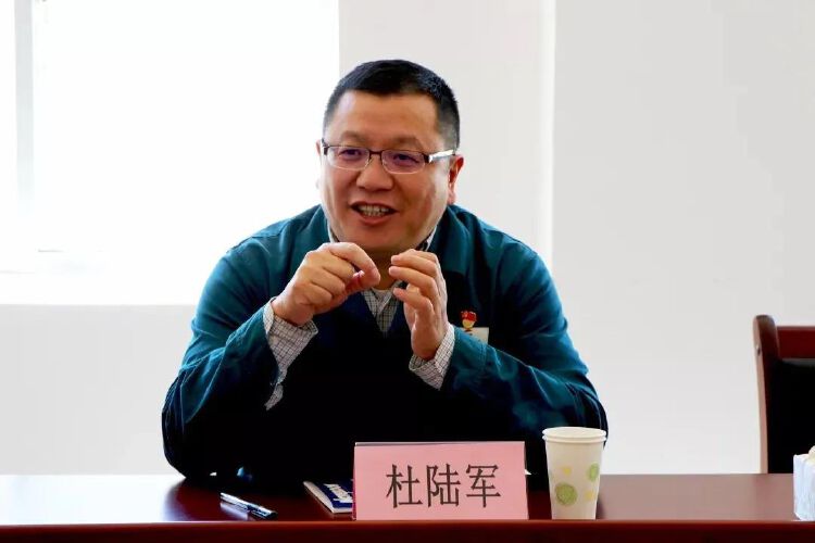 2015年12月至2016年12月任昆钢集团党委常委,副总经理,财务总监;2015