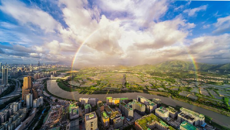 热议党代会福保街道党工委第九党支部将提升合作区企业服务软文化氛围