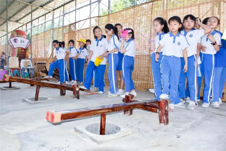深圳教科院实验小学踏进光明火红岁月劳动基地体验劳动快乐