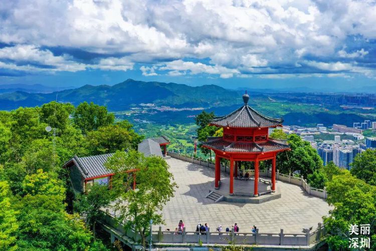 暑假去哪儿走进现实版绿野仙踪来塘朗山360看深圳的美