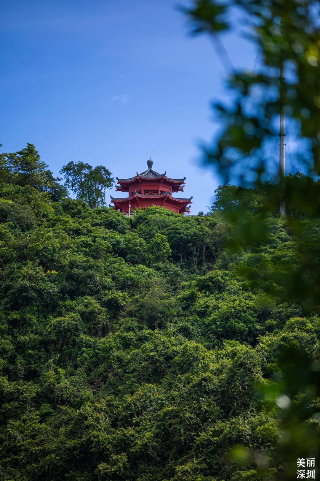 塘朗山风景图片图片