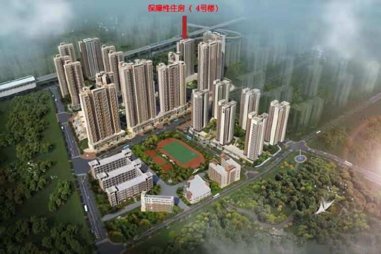 龙岗区户籍在册轮候人公共租赁住房(2021年度第一批次)选房家庭名单