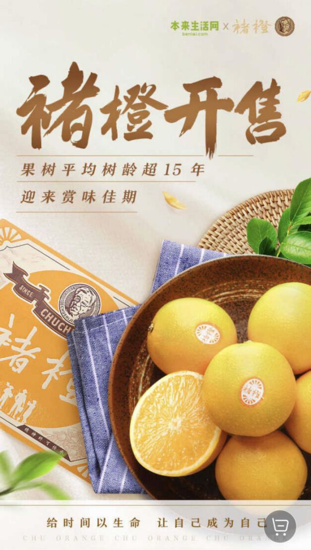 本来生活网开启褚橙预售平均15年树龄迎赏味佳期
