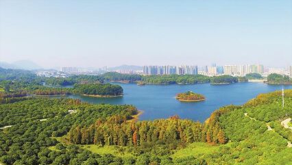 大山陂水庫被燕子嶺公園,坪山溼地公園環繞的燕子湖片區,不僅是坪山區