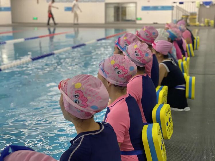 原创学游泳观察树木梅丽小学开展多种特色课程促进学生全面发展