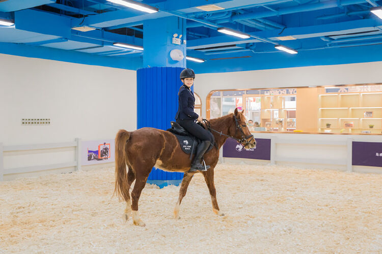 城市马术爱好者看过来骑乐马术深圳观澜湖中心燃爆来袭