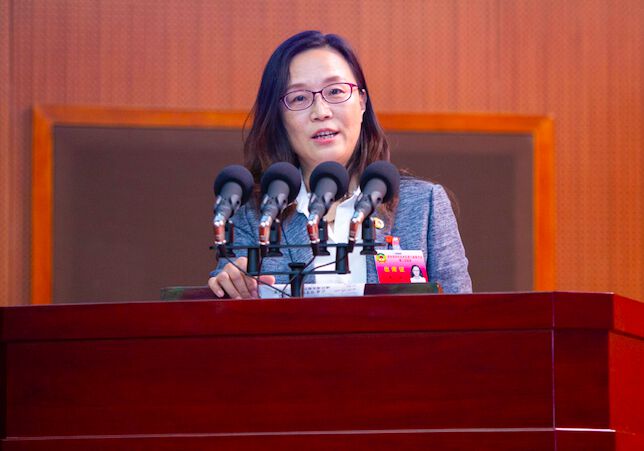 两会好声音孟丹打造双龙荟萃开放街区提升湾东智芯国际化芯高度