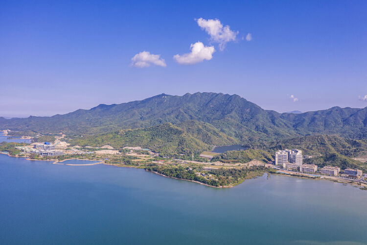 葵涌勇当绿水青山就是金山银山实践创新标杆的排头兵