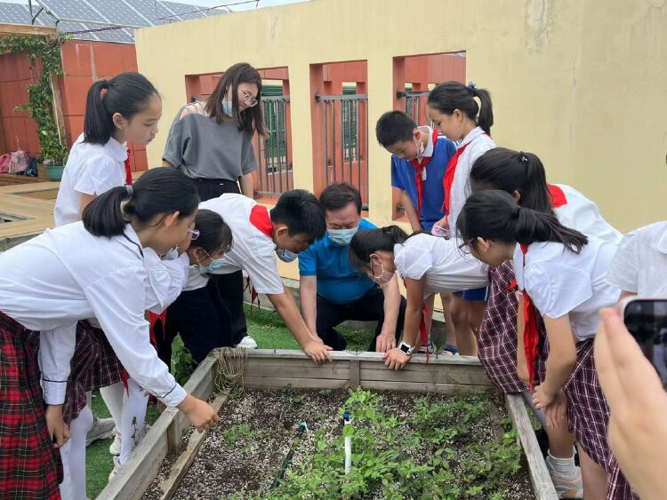 南油小學四(1)班朝陽中隊責任田掛牌_讀創客戶端