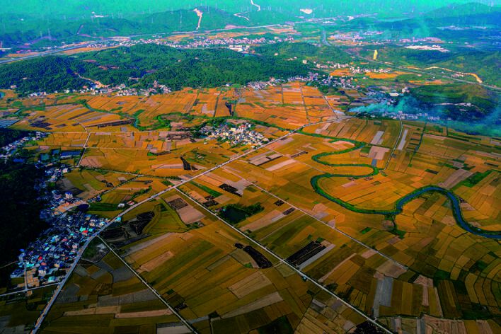 惠州稔山镇竹园村:海风吹稻浪 丰景美如画_读创客户端