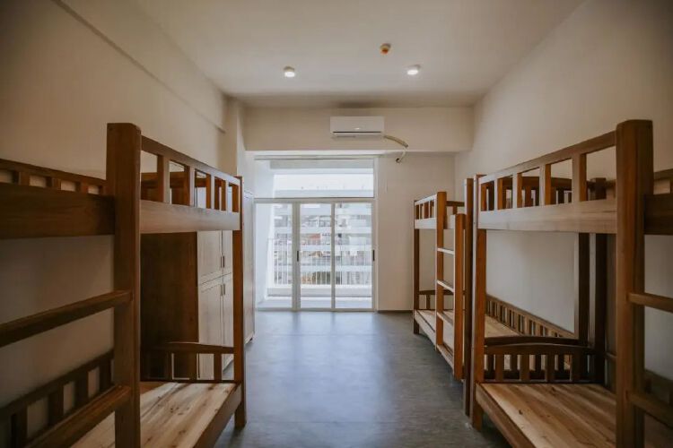 学校还将共享深大的实验室设备及大学图书馆资源.