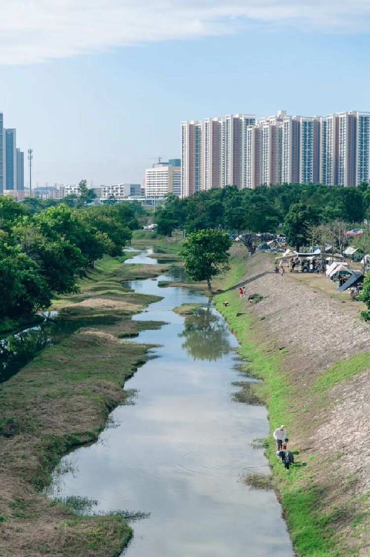 坪山石溪河露营火热"出圈"_读创客户端